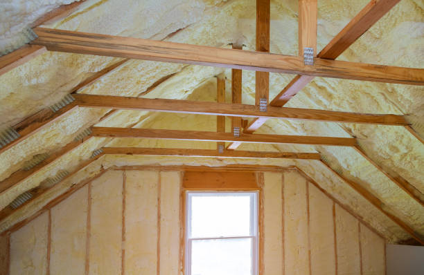 Best Attic Insulation Installation  in Castle Rock, CO