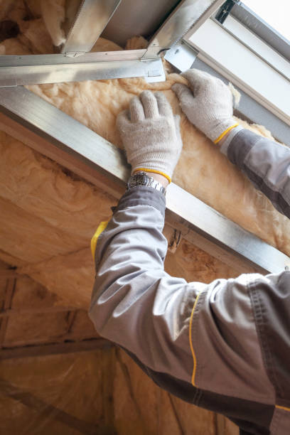 Best Local Insulation Services  in Castle Rock, CO