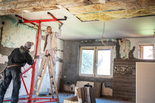 Best Insulation Replacement Services  in Castle Rock, CO