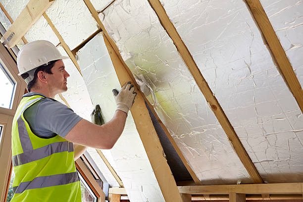 Best Attic Insulation Installation  in Castle Rock, CO