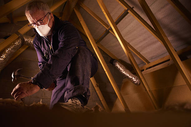 Best Insulation Repair Services  in Castle Rock, CO